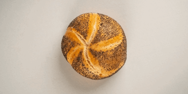 Mohnsemmeln – Bild 3